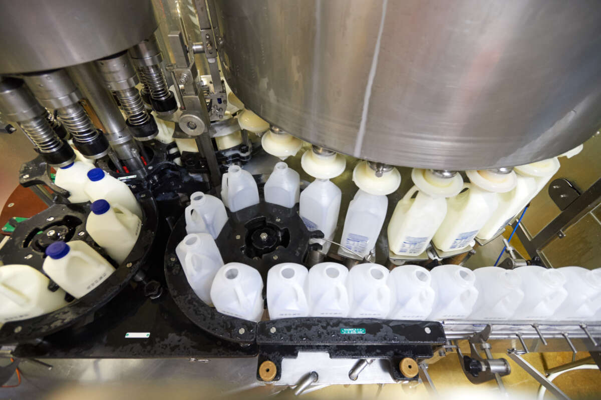 Riverina Fresh is using technology to drive sustainability and ensure consistent quality of its Australian dairy products for its cafe partners across the country.