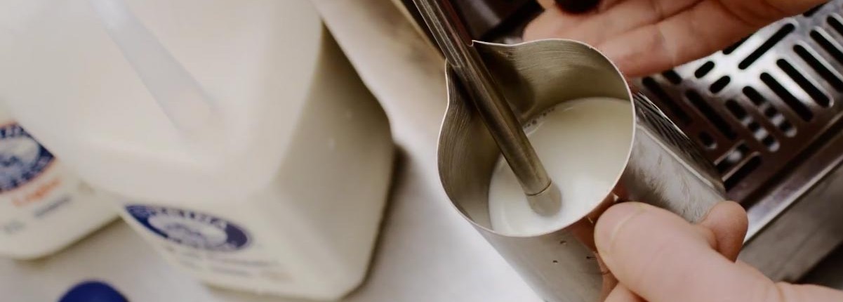 Milk being steamed with a steam wand