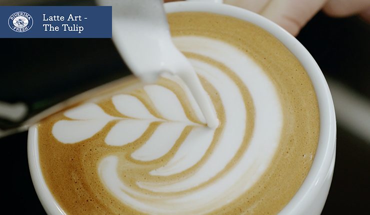 Latte art- The Tulip