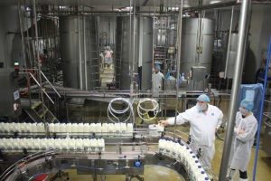 A look inside the Riverina Fresh processing plant