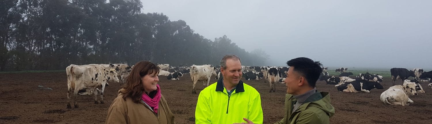 Three people chatting on a farm in front of cows